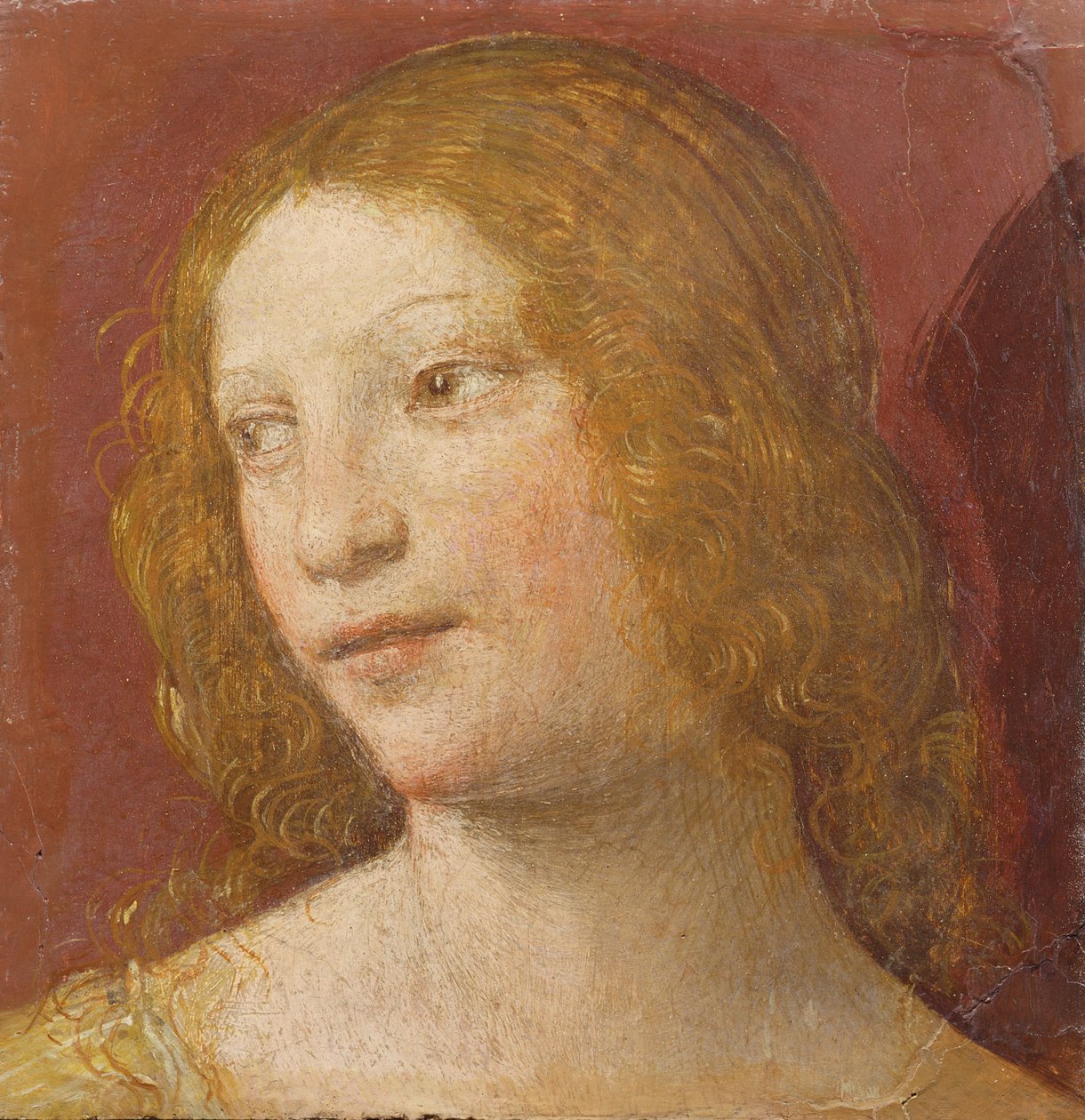 Kopf einer jungen Frau von Bernardino Luini