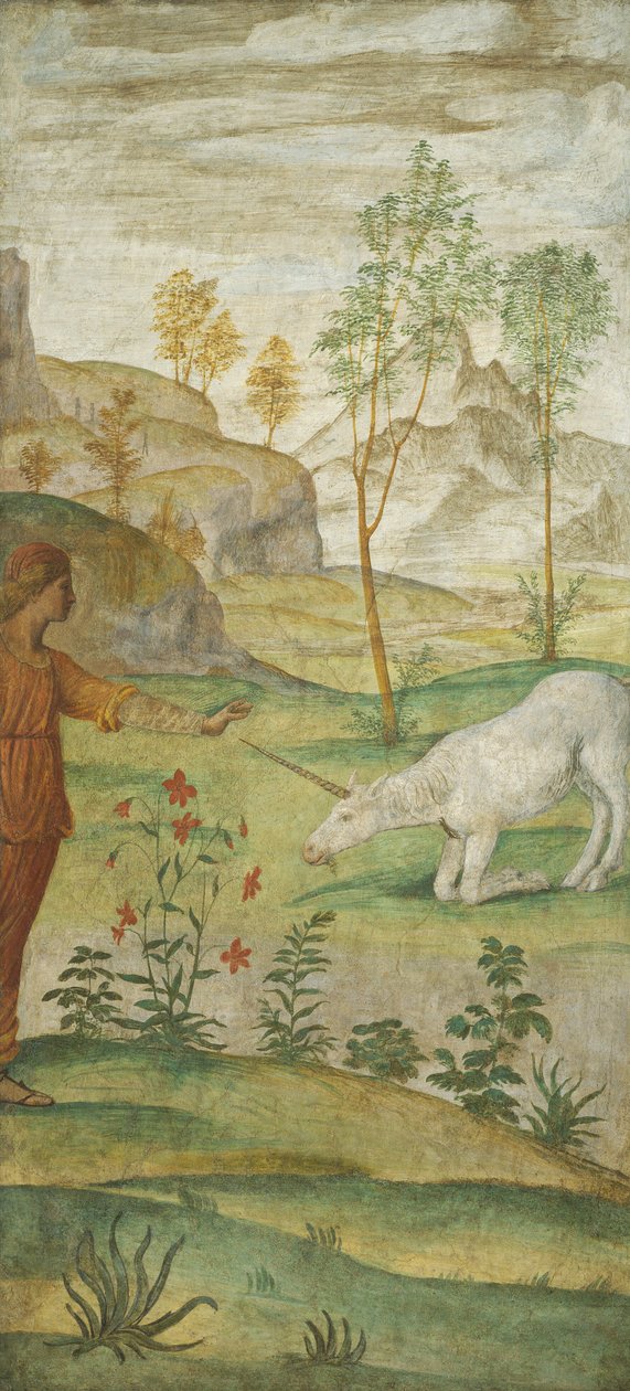 Prokris und das Einhorn von Bernardino Luini