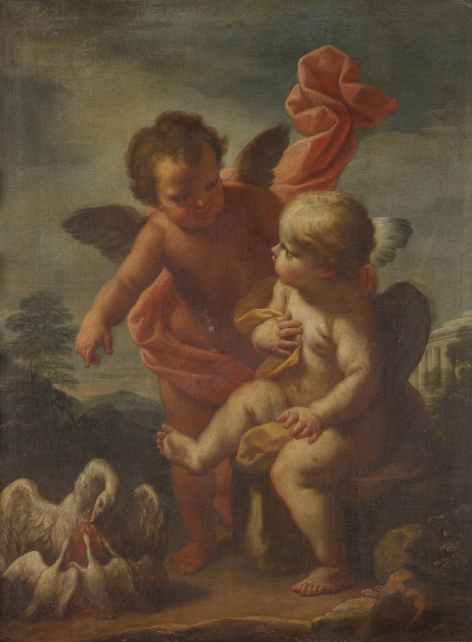 Amor mit Gänsen von Bernardo Arniconi