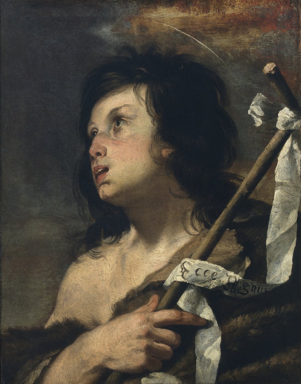Der junge Johannes der Täufer von Bernardo Strozzi