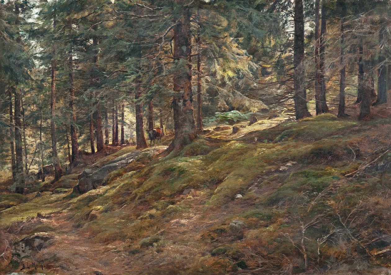 Licht im Wald von Berndt Lindholm