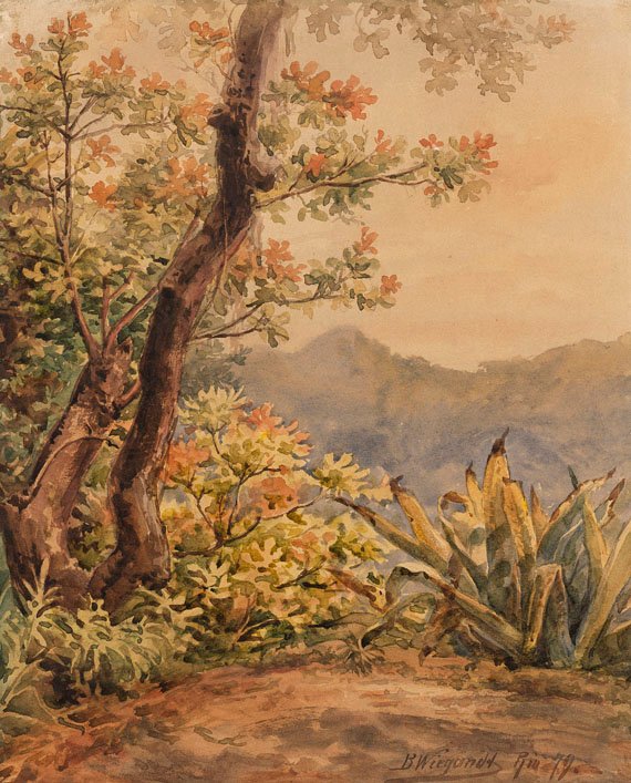 Brasilianische Landschaft mit Agave von Bernhard Wiegandt