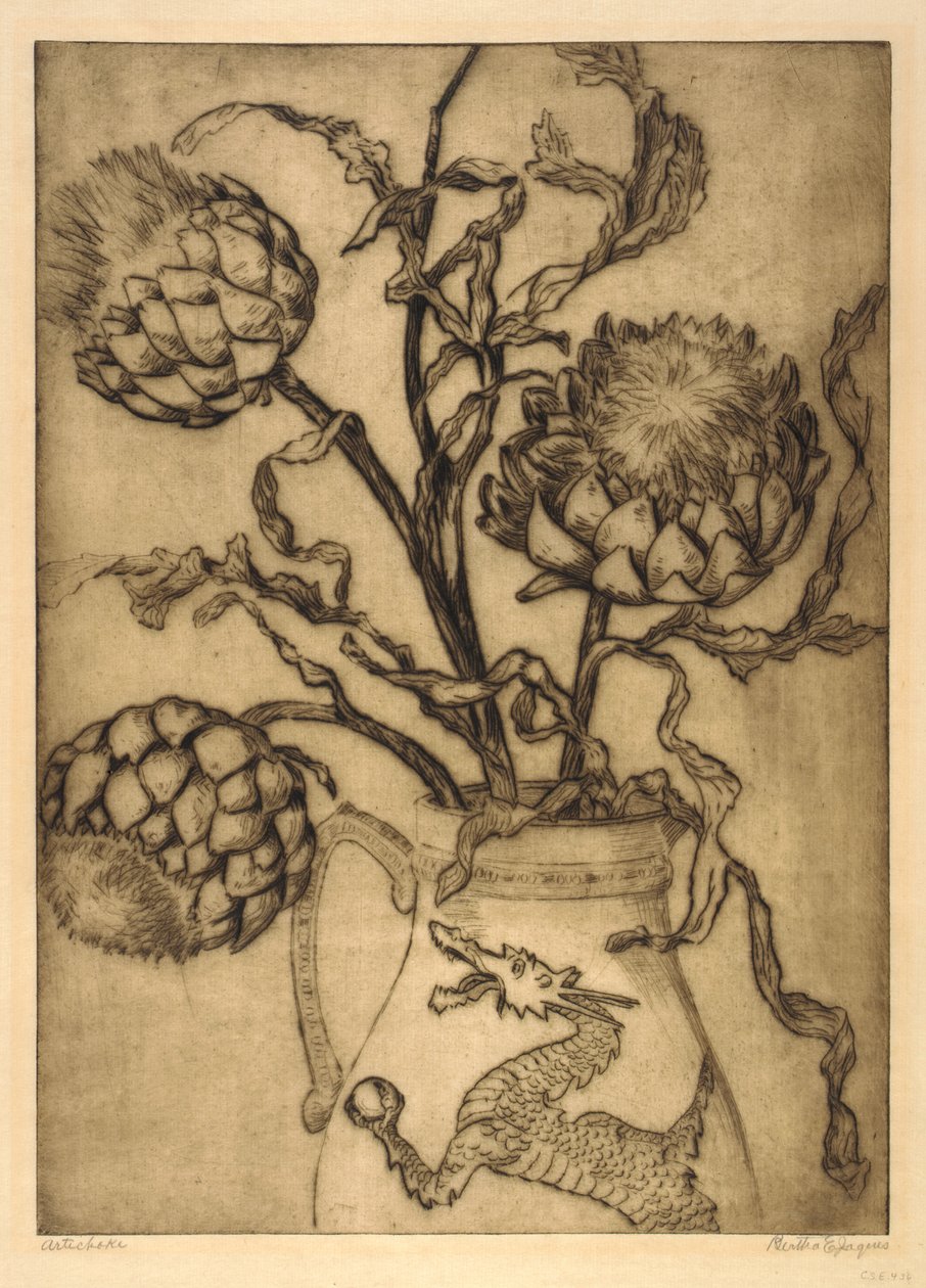 Artischocke von Bertha E. Jaques