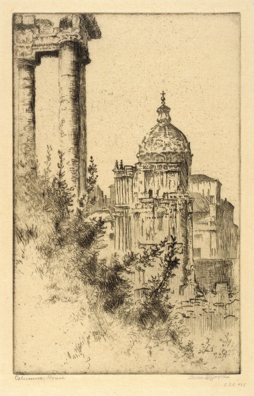 Säulen, Römisches Forum von Bertha E. Jaques