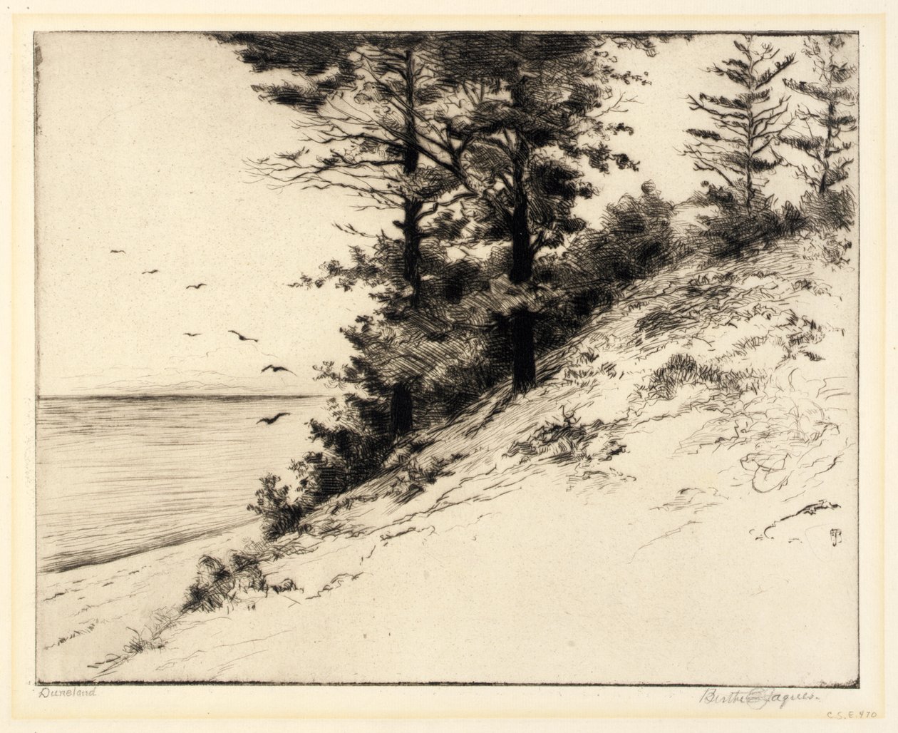 Dünenland von Bertha E. Jaques