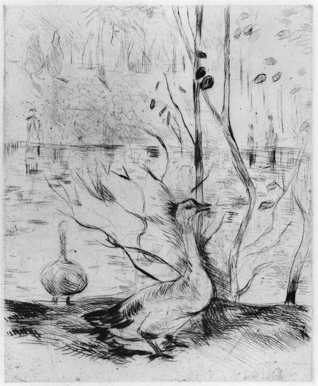 Gans, 1889 (Radierung) von Berthe Morisot