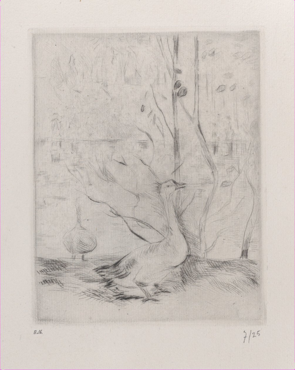Gans, 1889 von Berthe Morisot