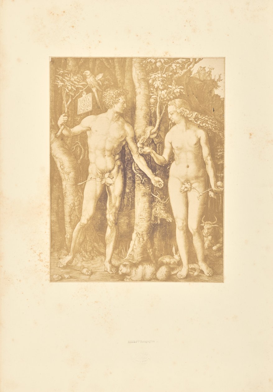 Adam und Eva von Bisson Frères