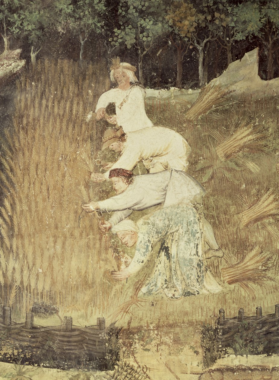 Der Monat August, Detail der Ernte, ca. 1400 von Bohemian School