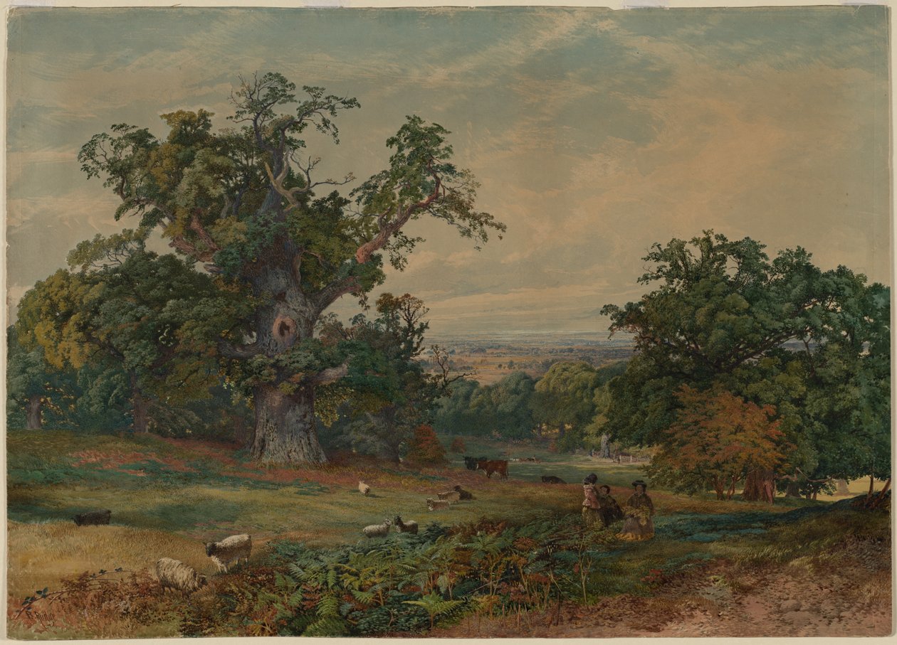 Blick in der Nähe von Bedford von Bradford Rudge