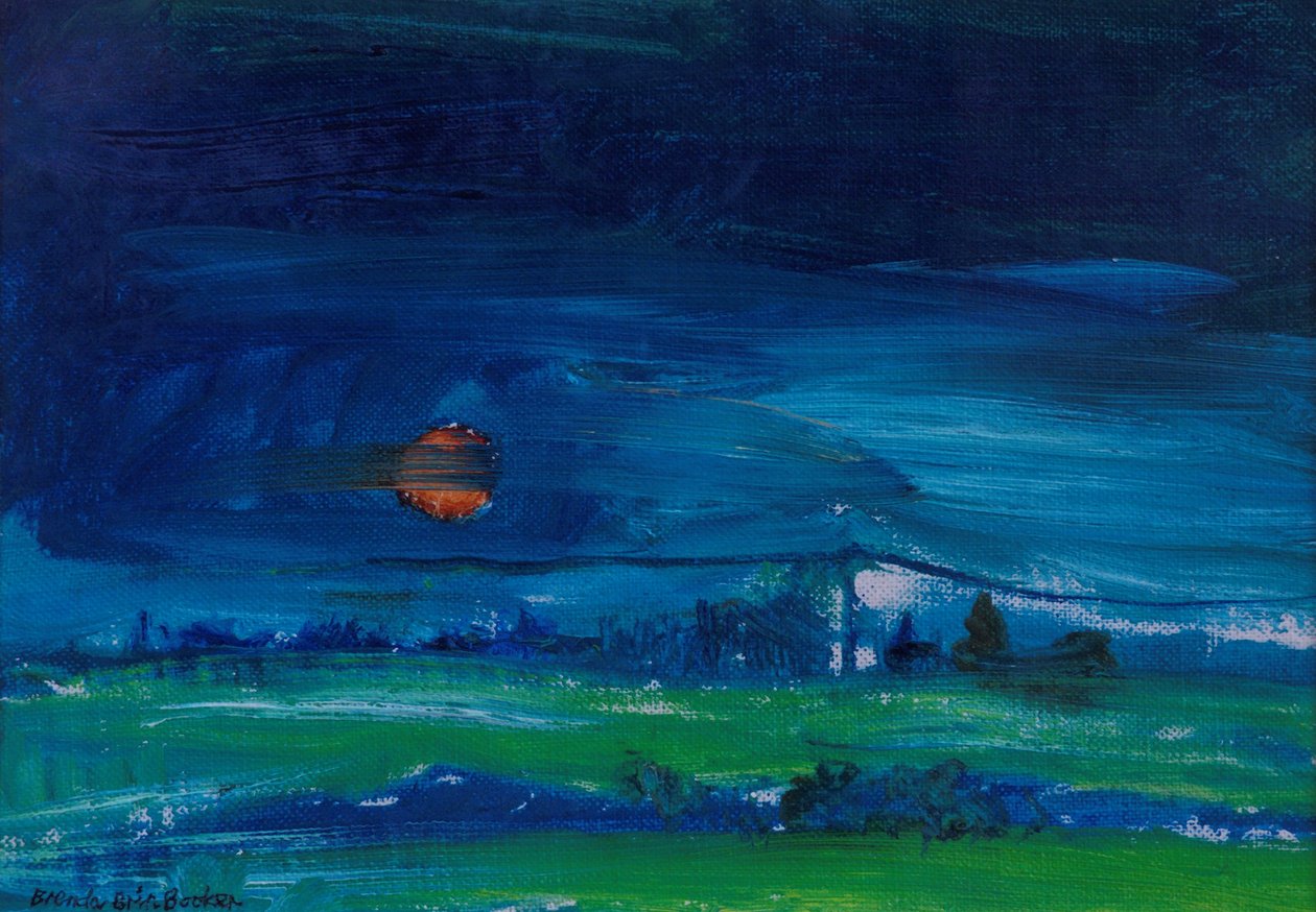 Abendlandschaft von Brenda Brin Booker