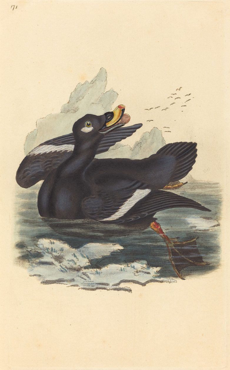 Samtente von British 19th Century