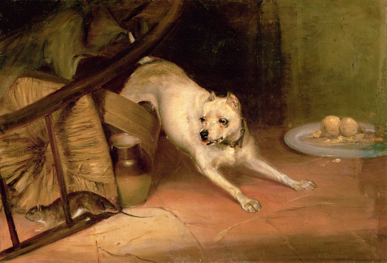 Hund jagt eine Ratte von Briton Riviere