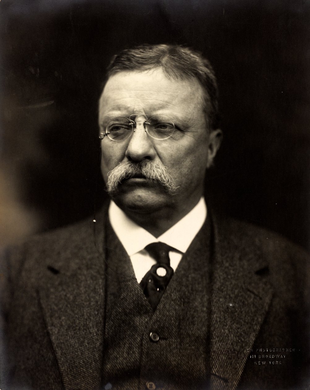 Theodore Roosevelt, ca. 1915 von Brothers Pach