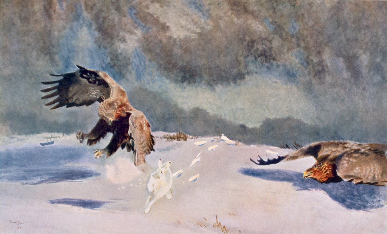 Adler und Kaninchen, 1922 von Bruno Andreas Liljefors