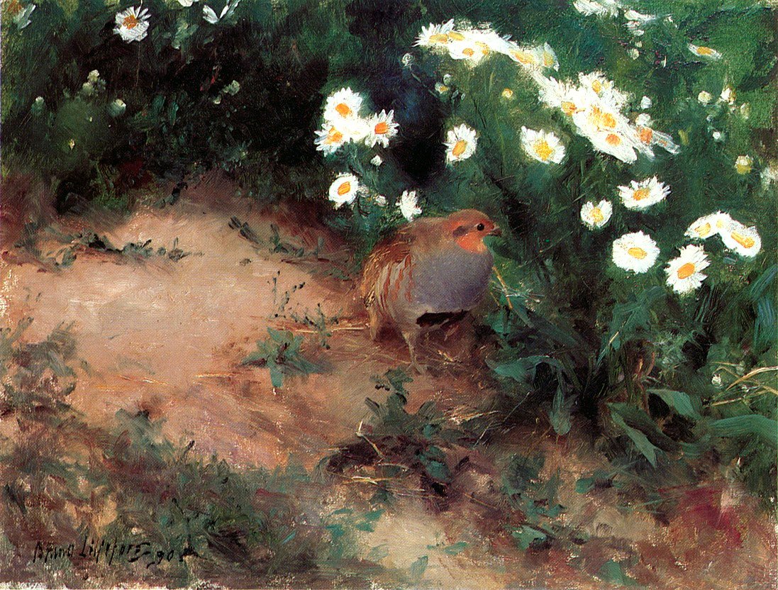 Rebhuhn mit Gänseblümchen von Bruno Andreas Liljefors