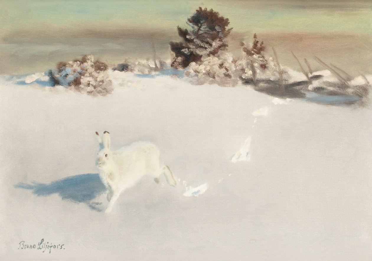Winterhase am Gartenzaun von Bruno Andreas Liljefors
