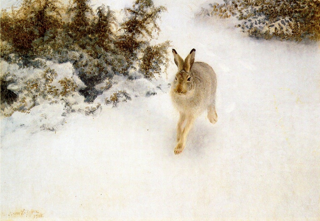 Winterhase von Bruno Andreas Liljefors
