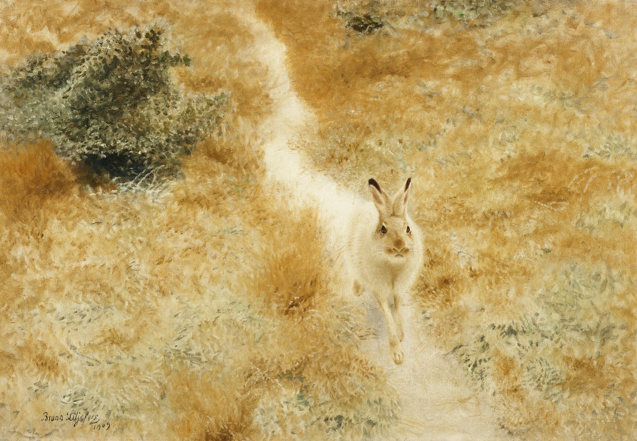 Ein Winterhase in einer Landschaft von Bruno Andreas Liljefors