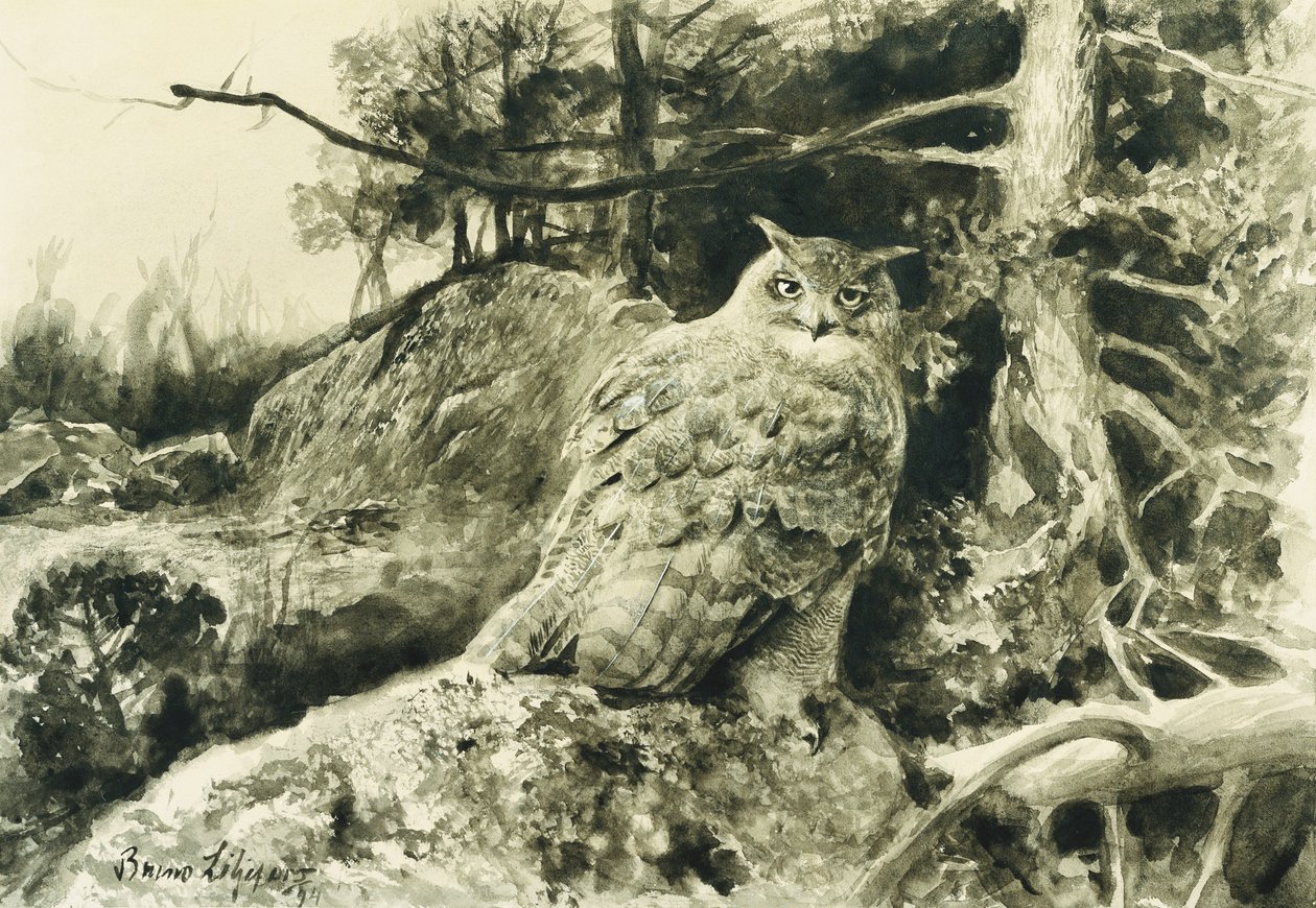 Uhu (Bubo Bubo) von Bruno Andreas Liljefors