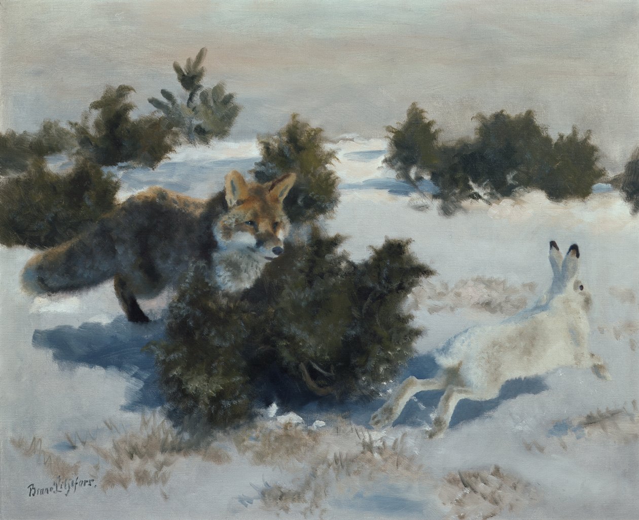 Fuchs und Hase von Bruno Andreas Liljefors
