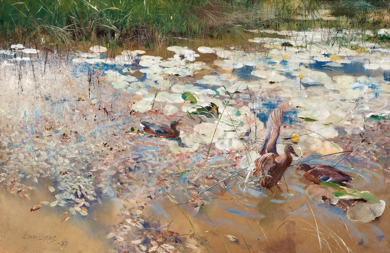 Wildenten von Bruno Andreas Liljefors