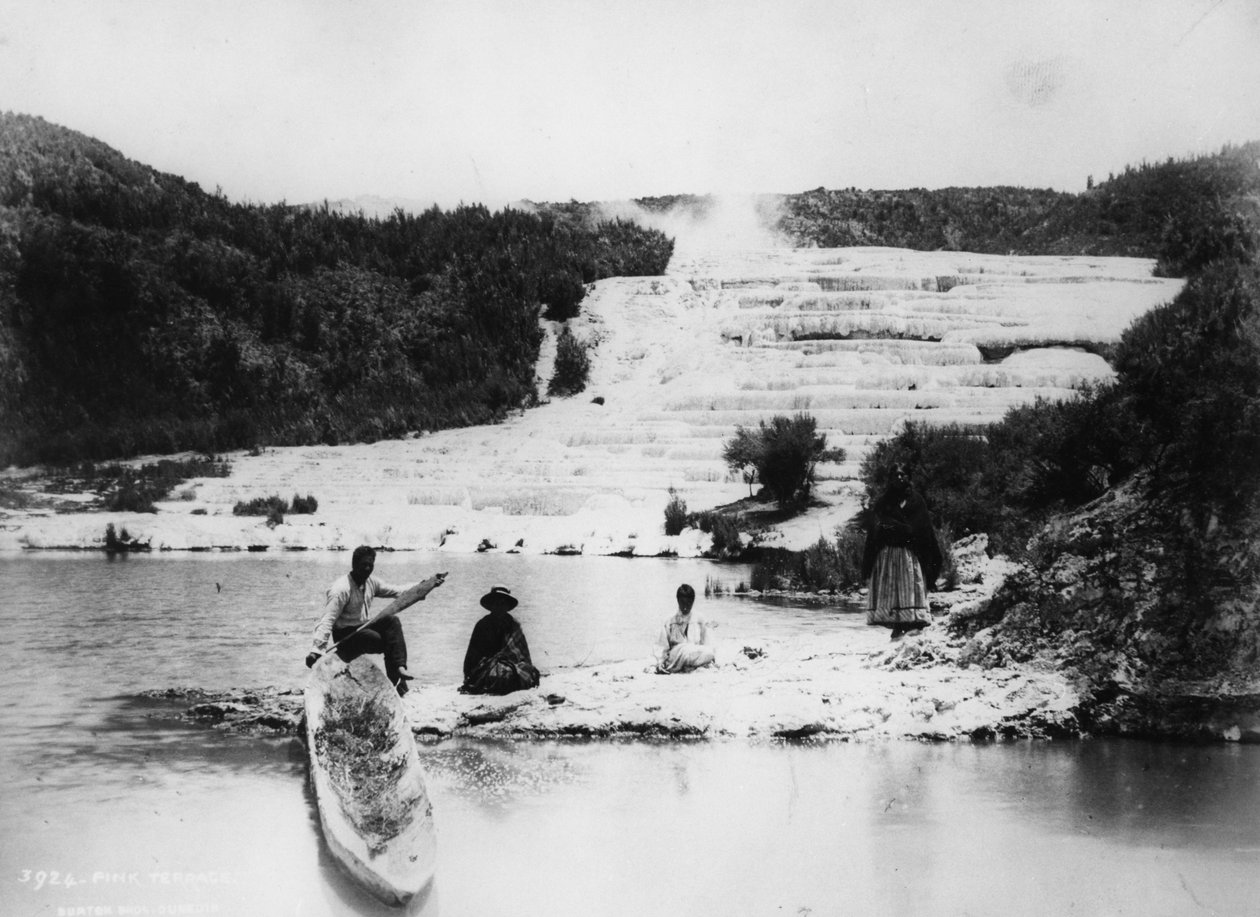 Pink Terraces, ca. 1880er von Burton Brothers Studio