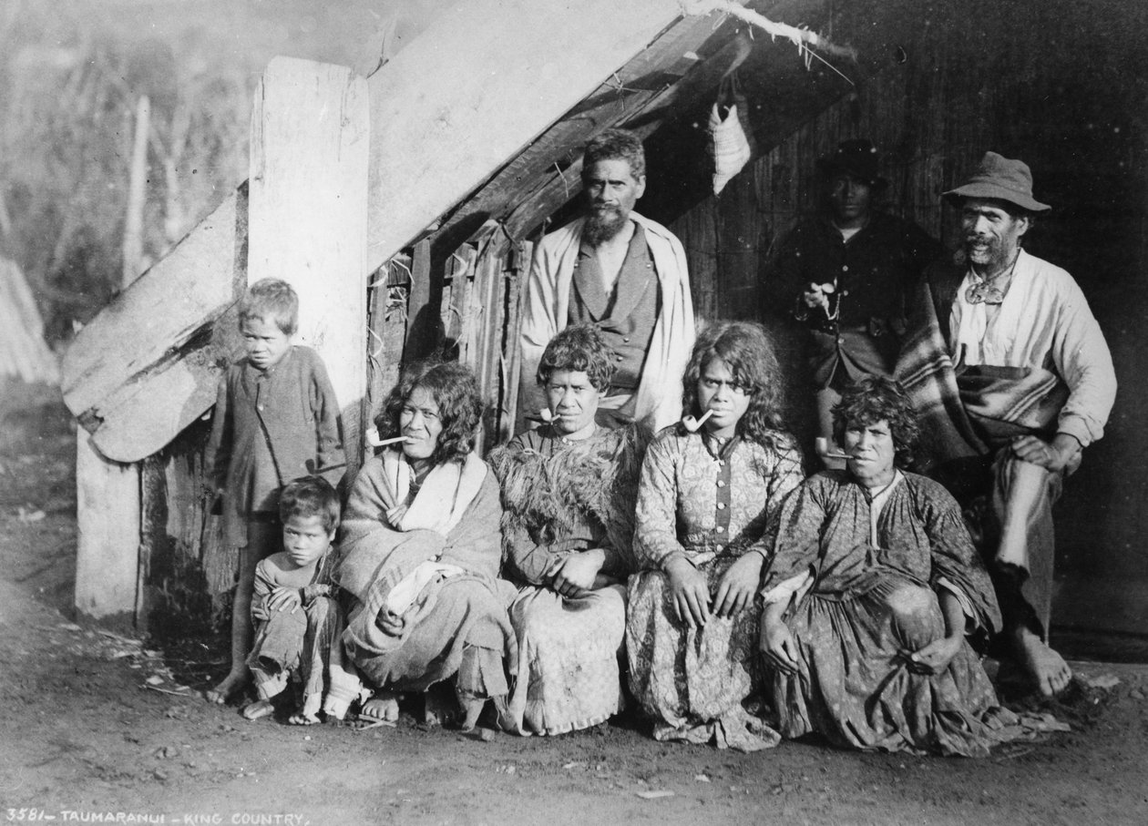 Taumaranui - King Country, 1885 von Burton Brothers Studio