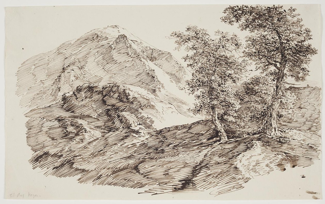 Berglandschaft mit Bäumen von C.F. von Rumohr