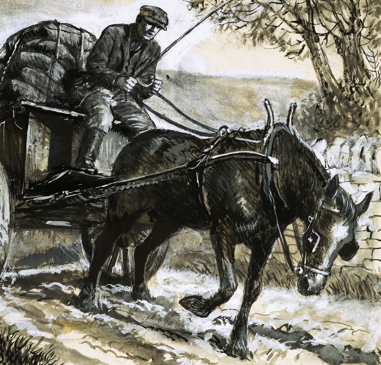 Pferde waren unterernährt und überarbeitet von C.L. Doughty