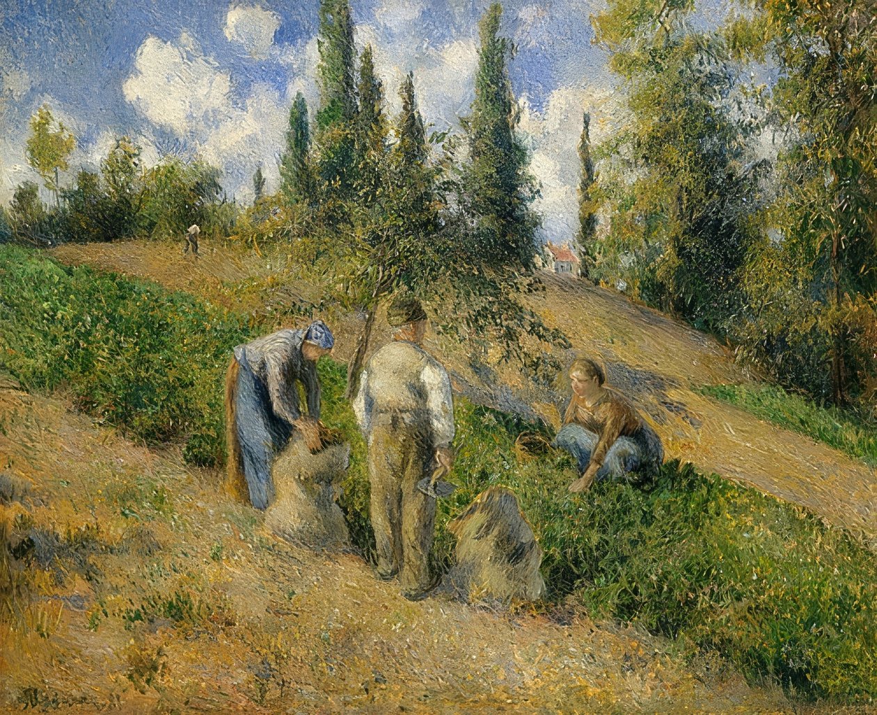 Die Ernte, Pontoise von Camille Jacob Pissarro