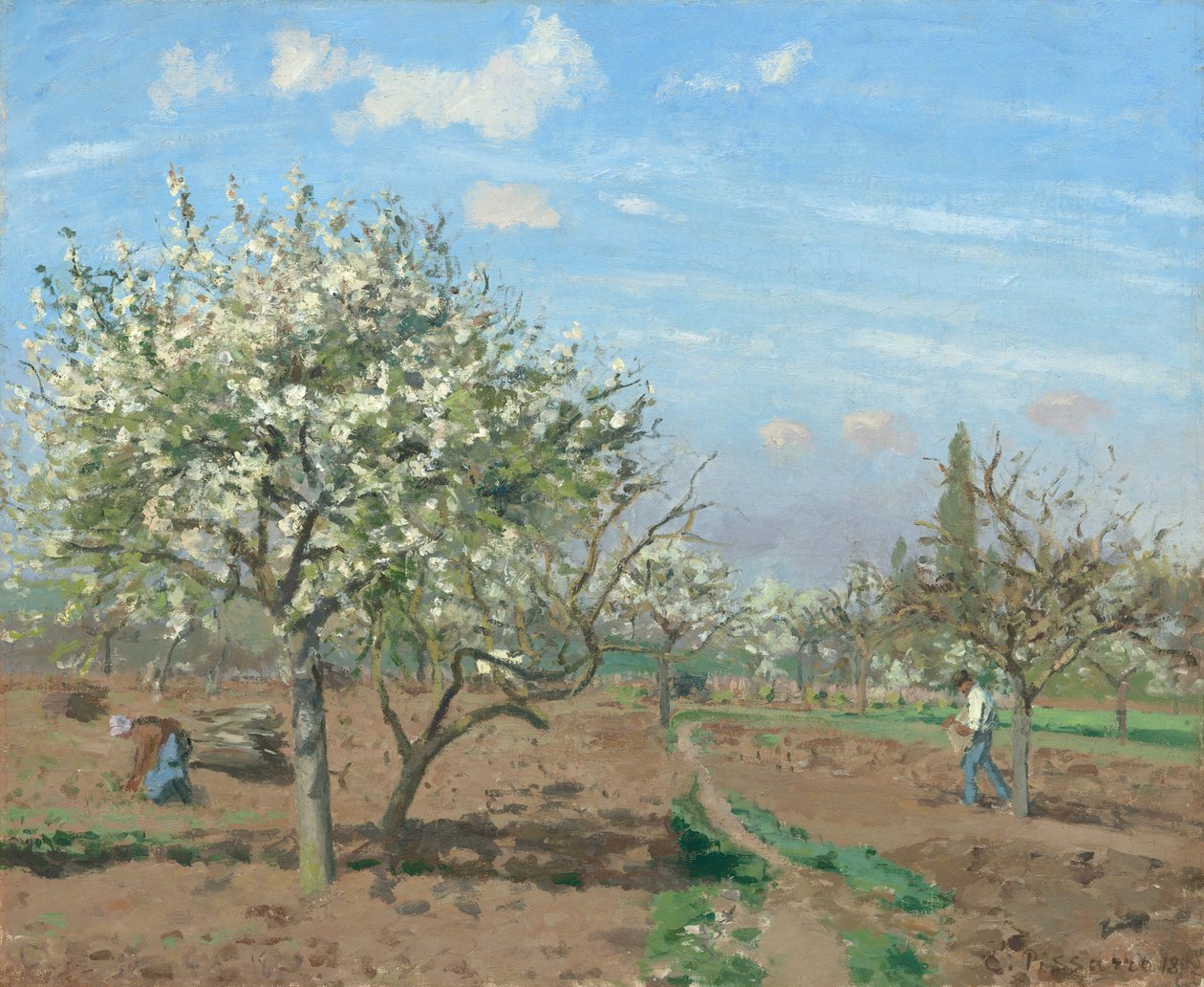 Obstgarten in Blüte, Louveciennes von Camille Pissarro