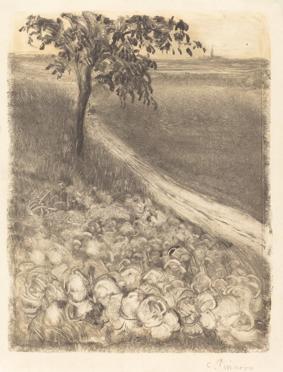 Straße an einem Kohl-Feld von Camille Pissarro