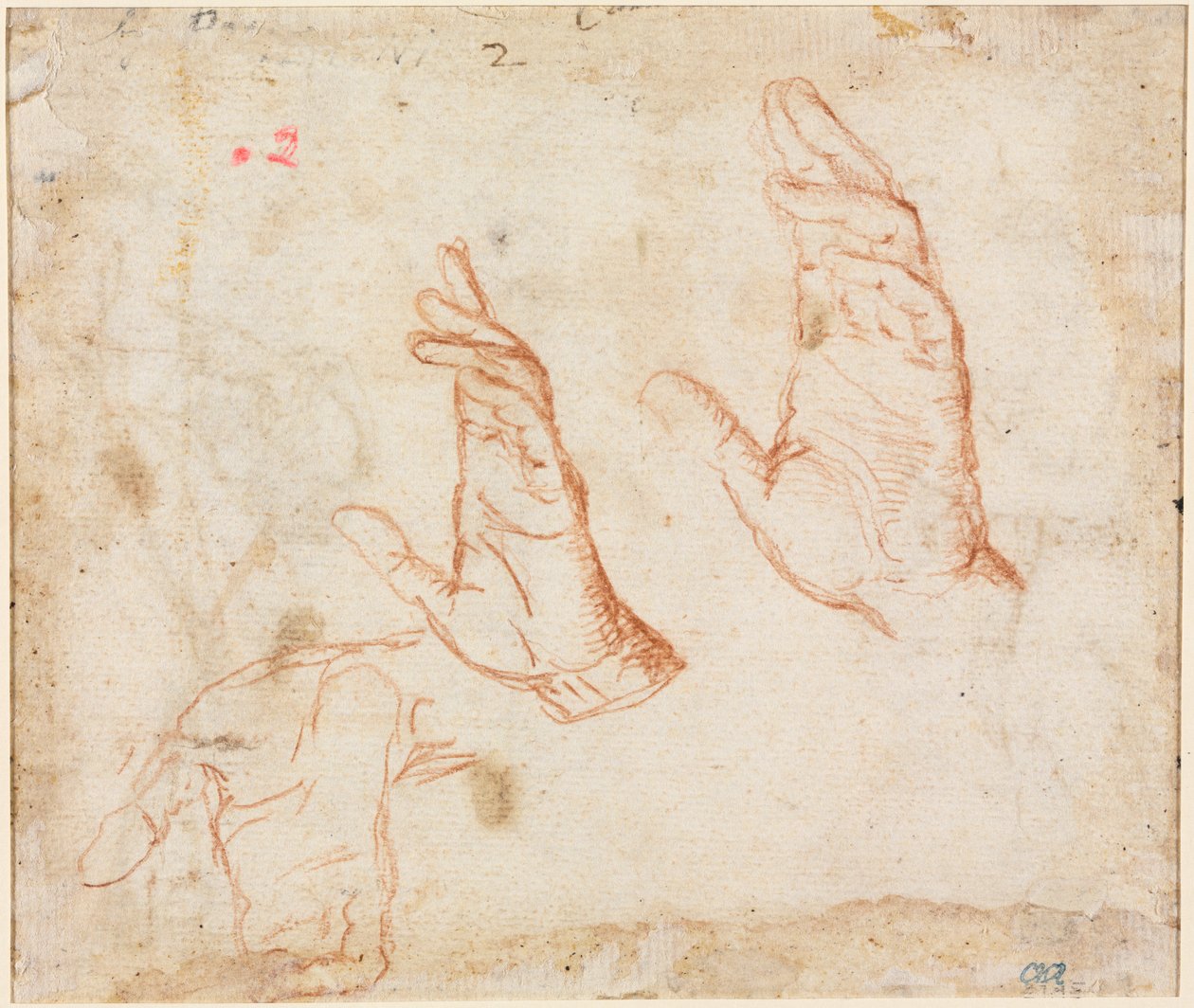 Handstudie (verso) von Camillo Procaccini