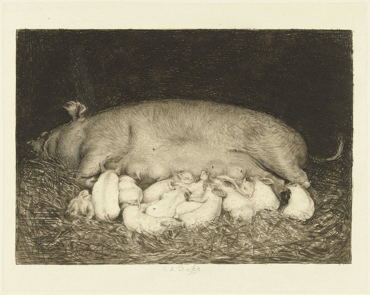 Sau mit Ferkeln liegend im Stall von Carel Lodewijk Dake