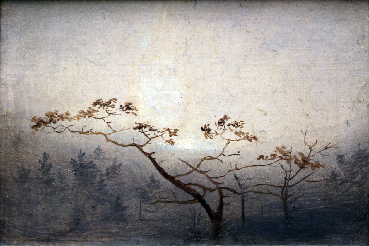 Bäume bei Sonnenaufgang im Herbst von Carl Blechen