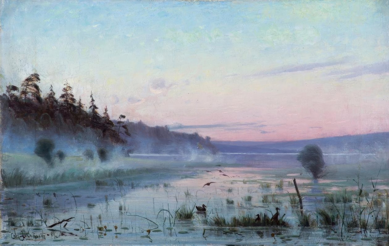 Morgennebel über dem See von Carl Johansson