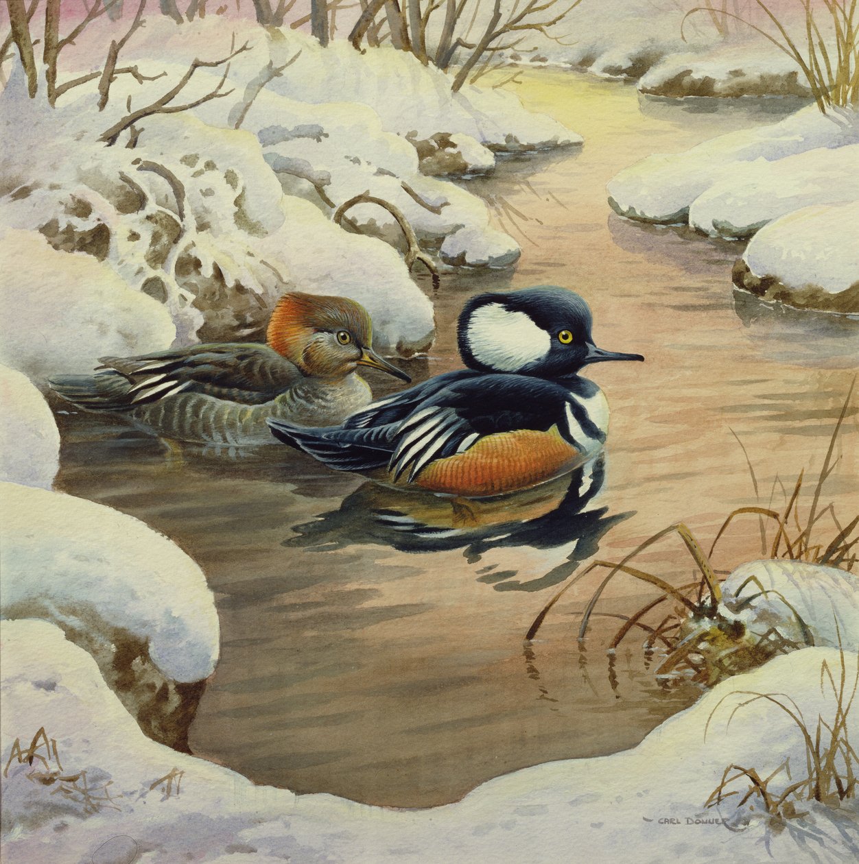 Kappensäger auf einem Teich von Carl Donner