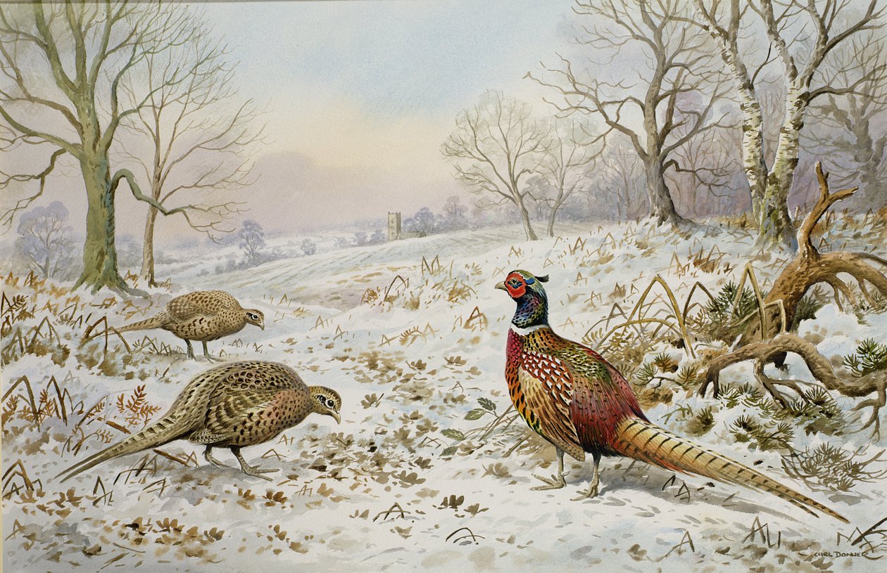 Fasan und Rebhühner in einer verschneiten Landschaft von Carl Donner