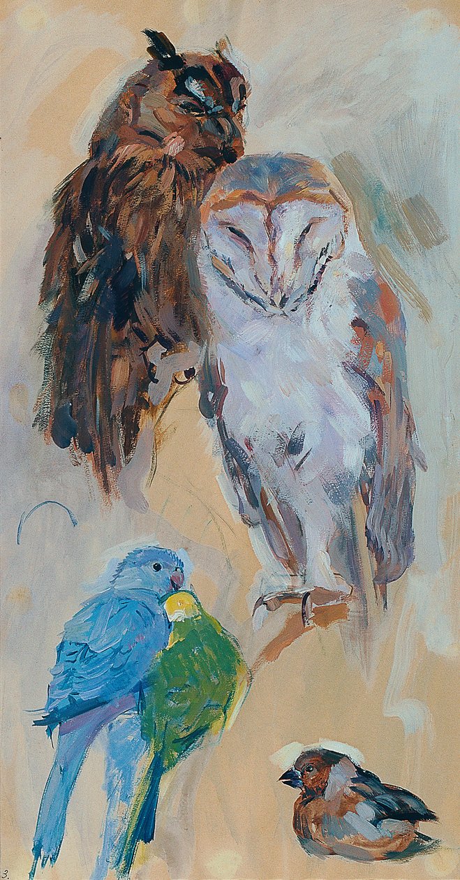 Tierstudie aus Schönbrunn von Carl Fahringer