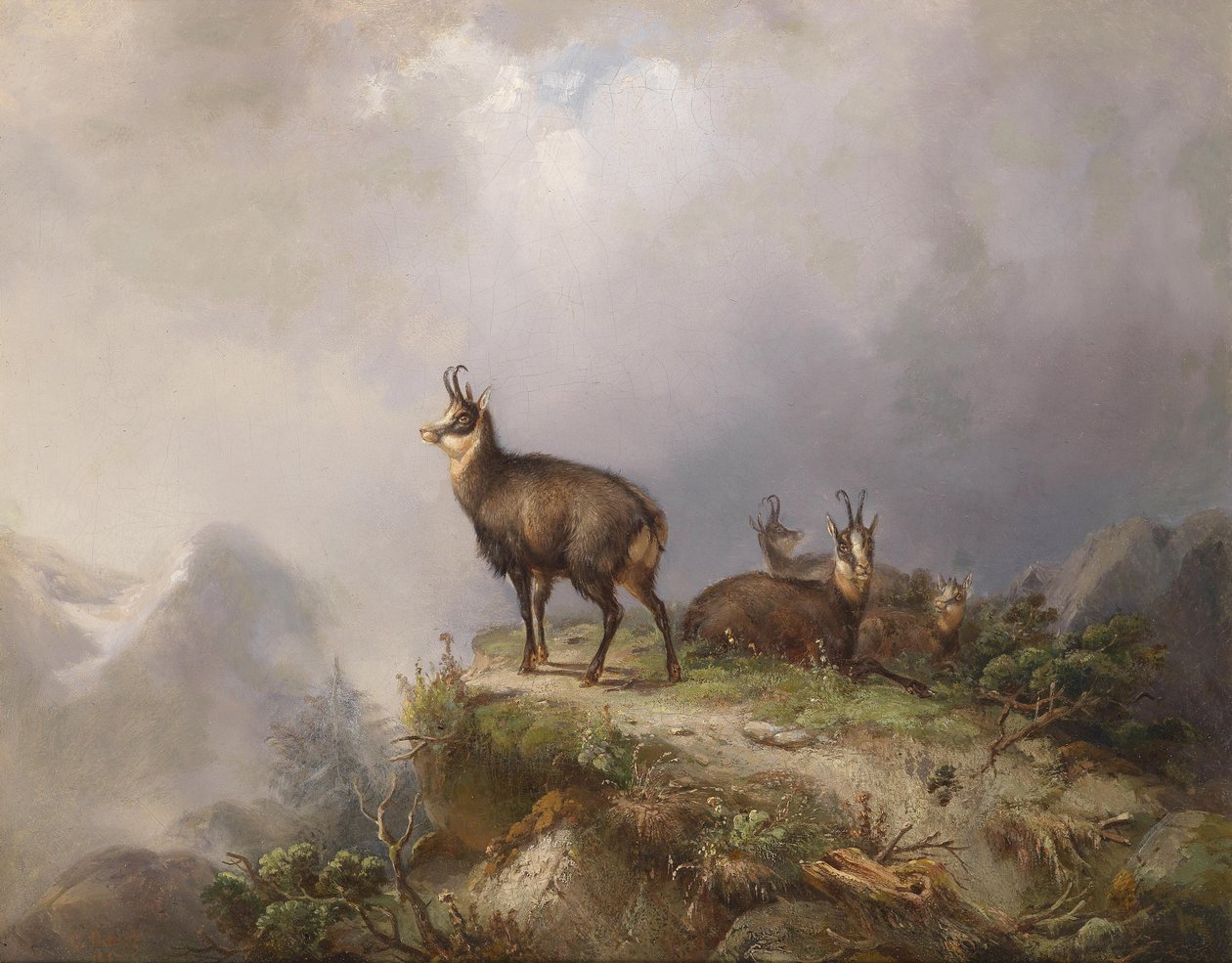 Gämsen von Carl Friedrich Ockert