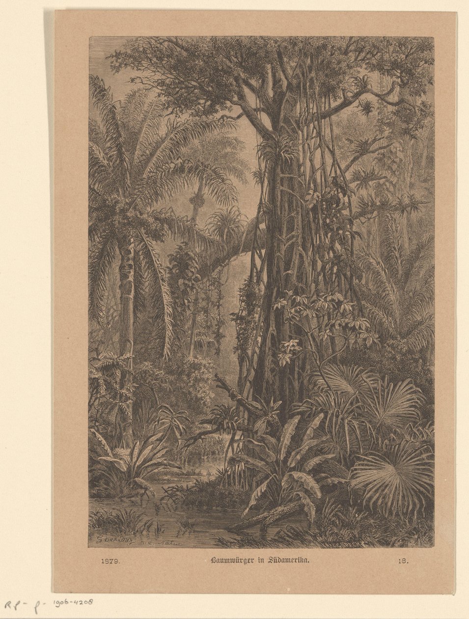 Waldansicht von Carl Gottlob Specht