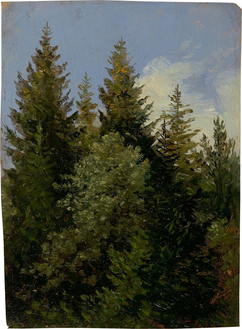 Tannen von Carl Gustav Carus