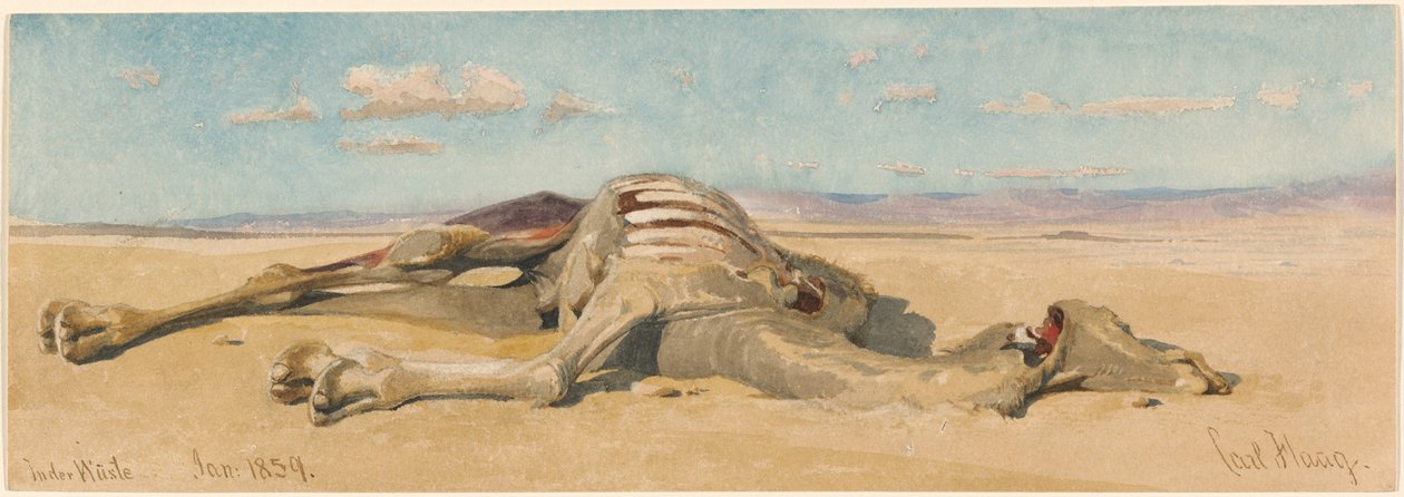 In der Wüste von Carl Haag