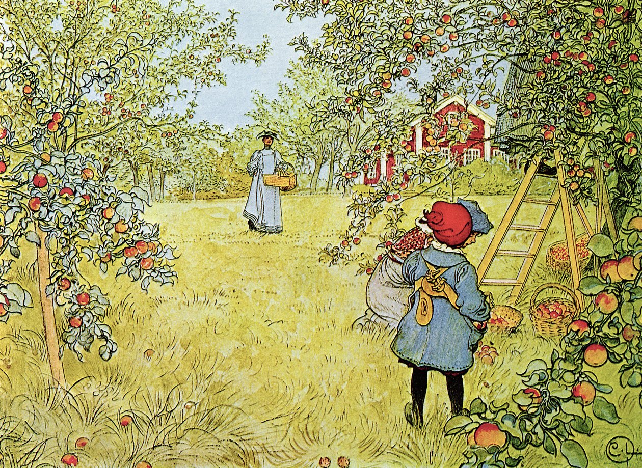 Die Apfelernte von Carl Larsson