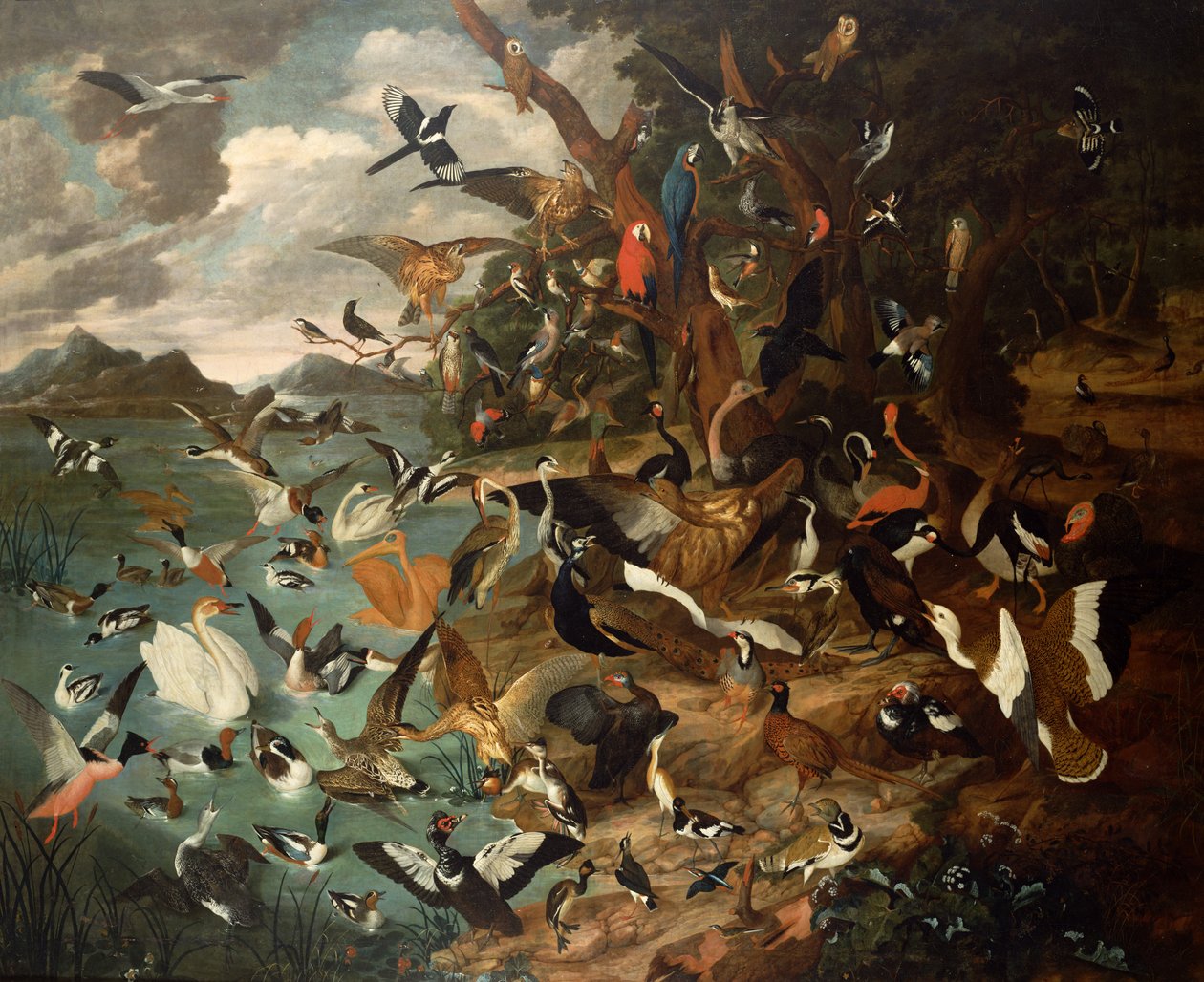 Das Parlament der Vögel von Carl Wilhelm de Hamilton