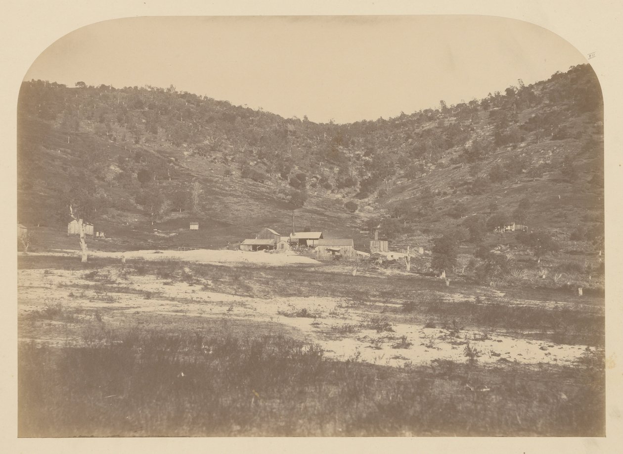 (Bear Valley Mill) von Carleton E. Watkins