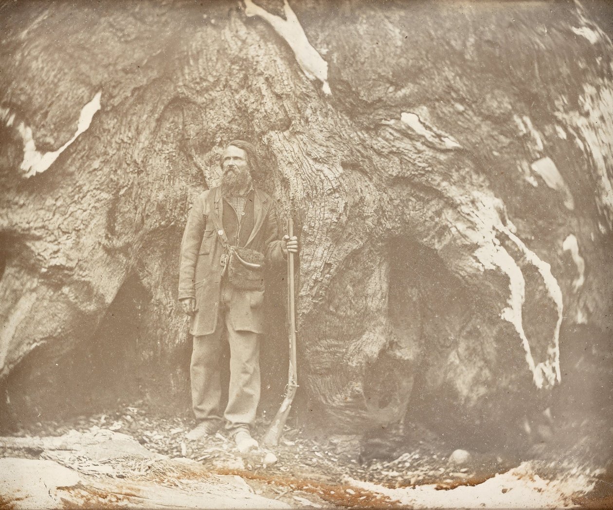 Mariposa Grove. Galen Clark. Porträt von Galen Clark von Carleton E. Watkins