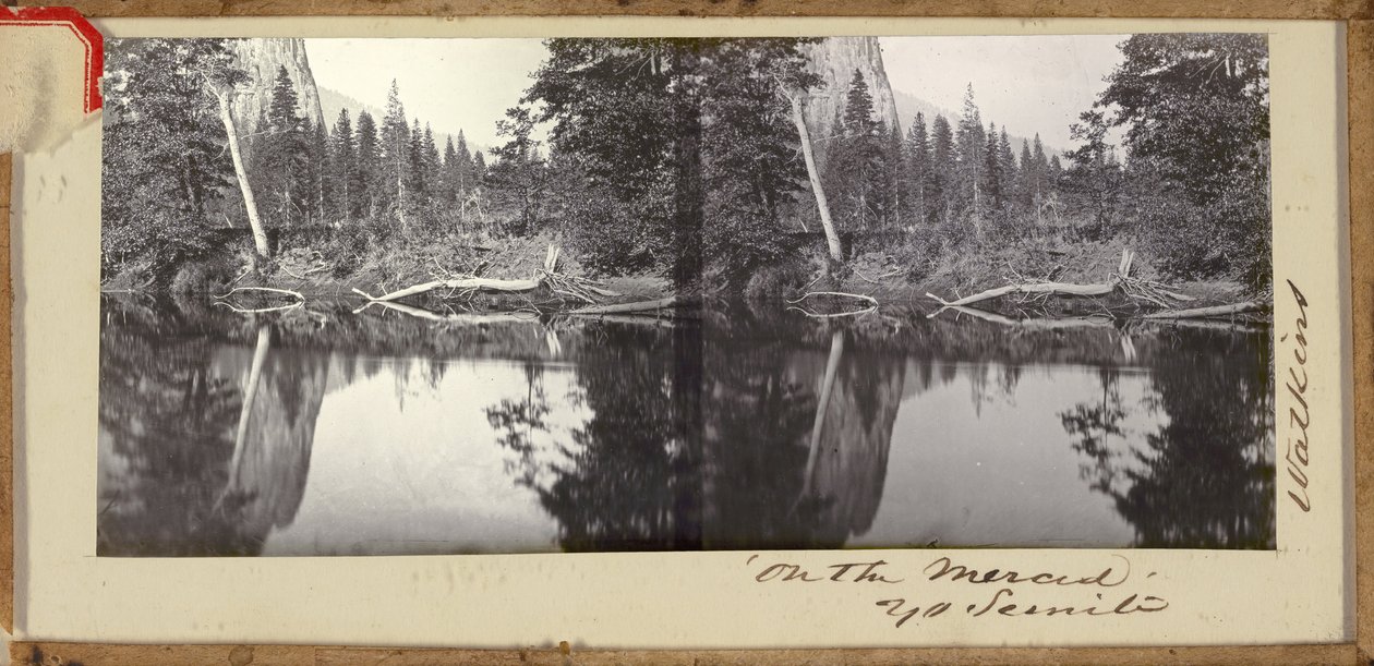 Am Merced, Yosemite von Carleton E. Watkins
