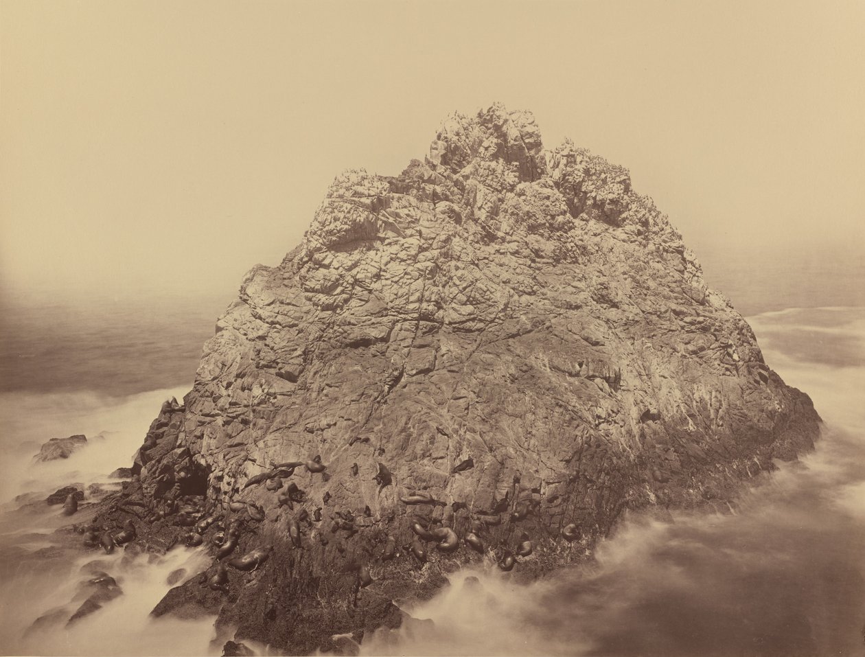 Zuckerhutinsel, Farallons von Carleton E. Watkins